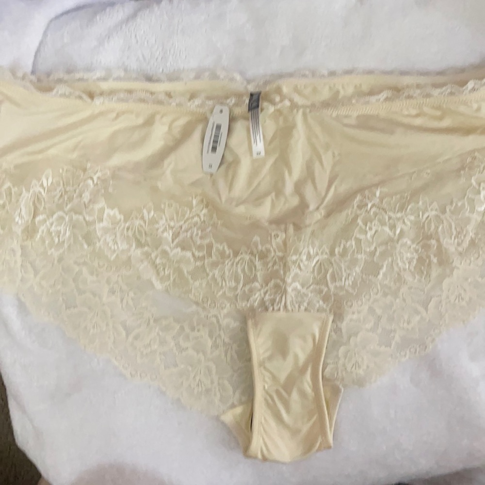Adore Me Panties size 3X